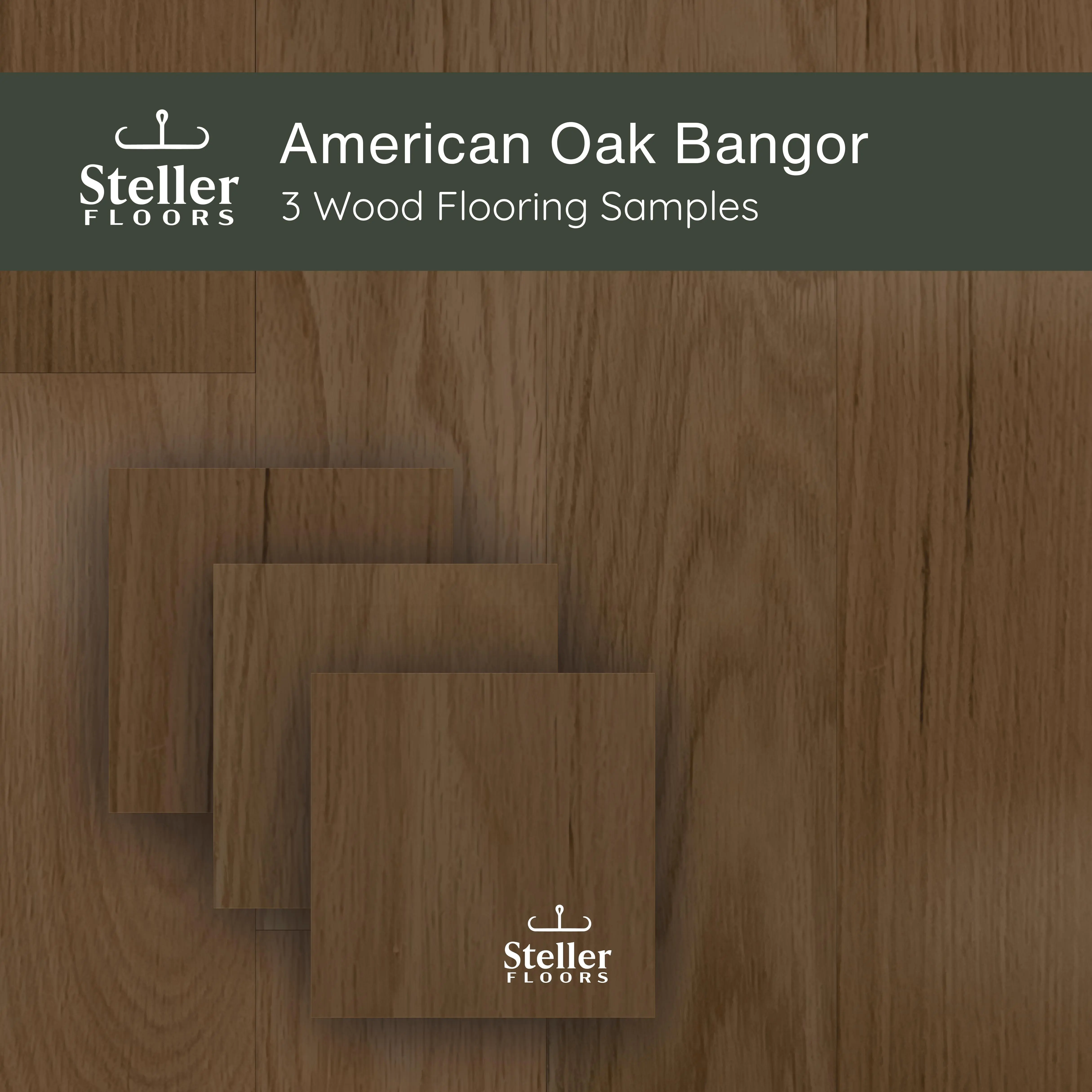 American Oak Bangor by Steller Floors - Sample 3-Pack -Includes Clip System