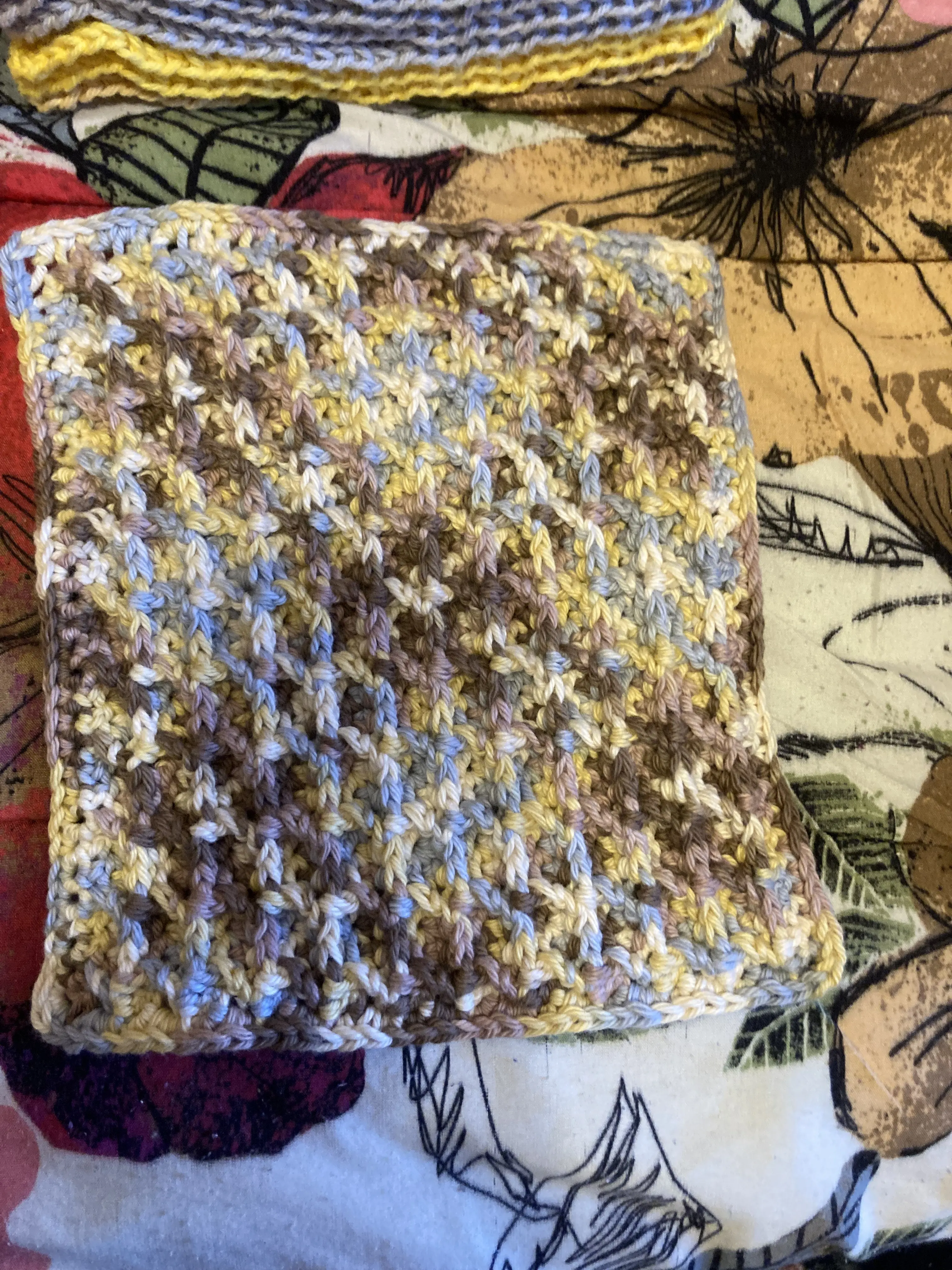 Modern Multicolor Dishcloth
