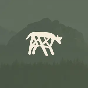 background preload poster image 