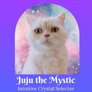 Surprise Crystal - Mystic Cat Selects Your Crystal - Unique Intuitive Gemstone Gift - Reiki Charged Energy for Spiritual Growth
