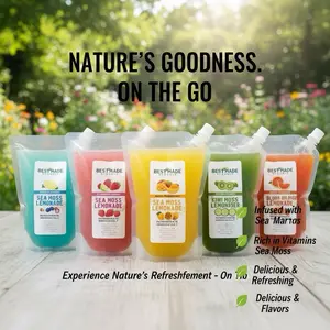 Bestmade Wellness Sea Moss Lemonade Fruit Pouches 5 Herbal Twists 16oz Pouches Chill Serve Over Ice Vegan Zero Sugar Detox Elixir