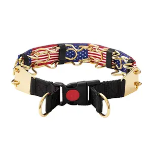 Collar Mayerzon Hidden Dog Prong Collar for No Pull - Martingale Pinch Collar with Quick-Release Buckle & Adjustable Leash for Large Dogs