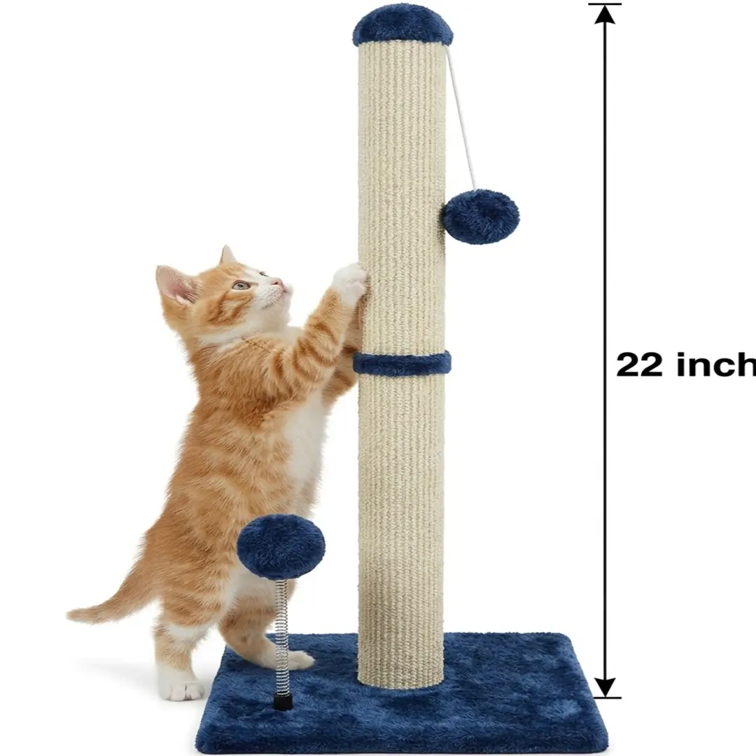 22 Inches Beige & Blue - Carpet Scratcher