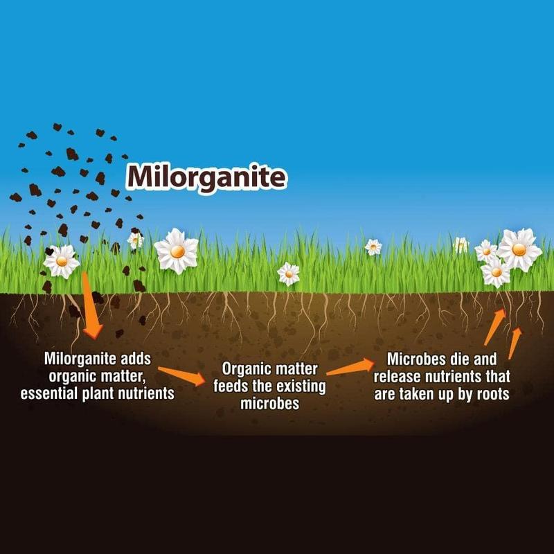 32 lb. 2,500 sq. ft. Organic Slow-Release Nitrogen Lawn and Garden Dry Lawn Fertilizer 6-4-0