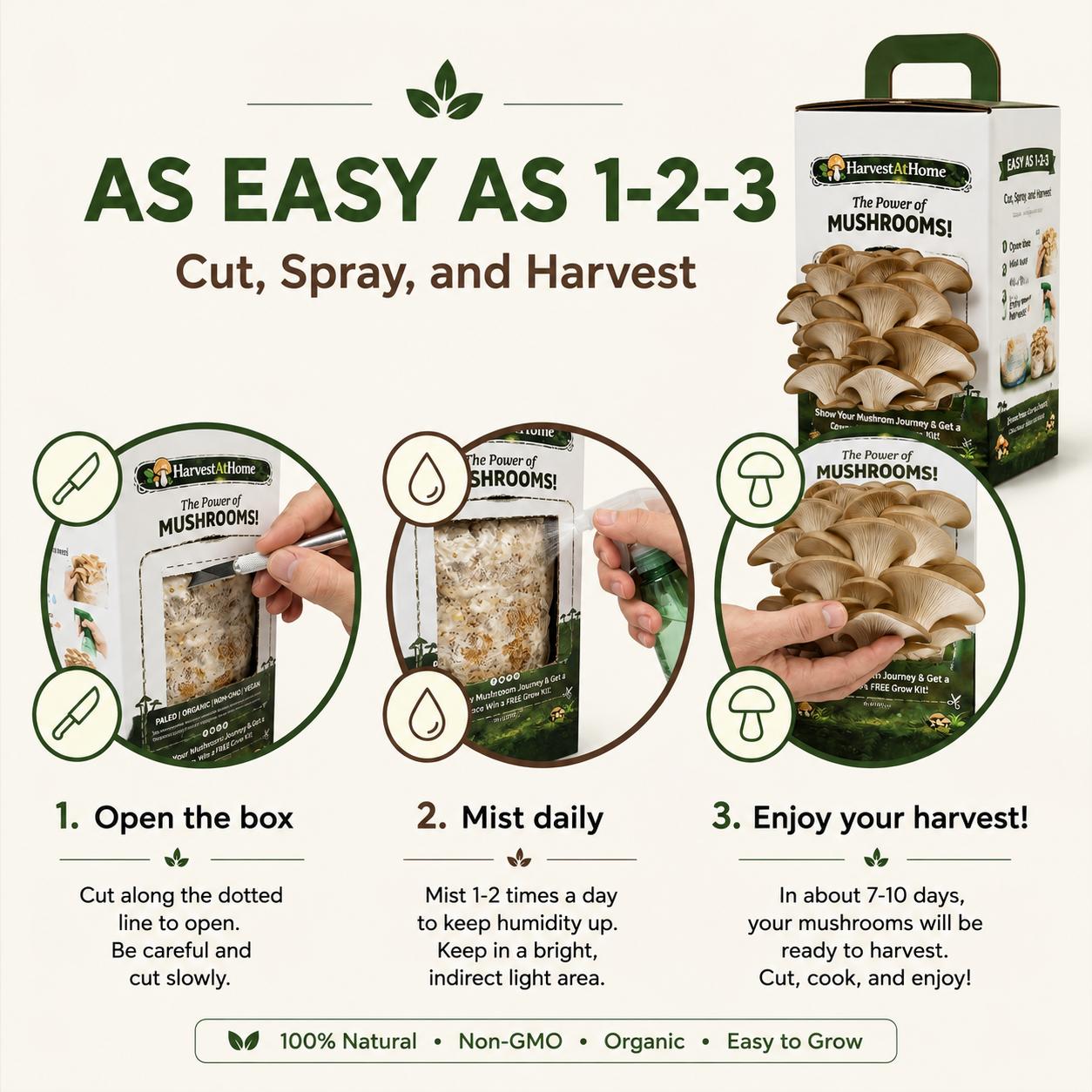 Organic Oyster Mushroom Grow Kit 3.5 lb | 1-7 Days Harvest | Easy to Grow Indoor | No Soil/Sun Required, Multiple Harvests | USDA Organic | Non-GMO | Made in USA | Perfect for Home Kitchen & Gardening EnthusiastsGift for Adults & Kids