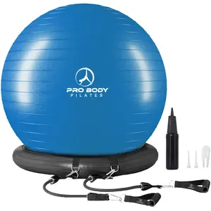 Exercise Ball Chair with Base & Bands Exercise Ball Chair with Base & Bands