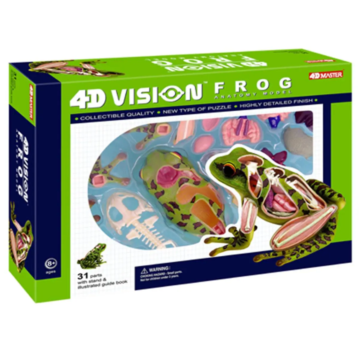 Tedco Toys 4D Vision Frog Anatomy 4D Model, Small Animal Science Experiment Kit for Children's Science Fair Pet Supplies Enthusiasts