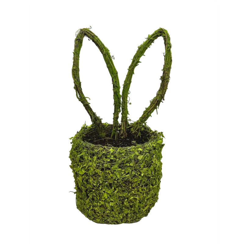 H14xW6 Green Moss Bunny Ears Basket  63656GN