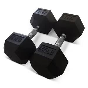 HolaHatha Iron Hexagonal Cast Exercise Dumbbell Free Weight Pair