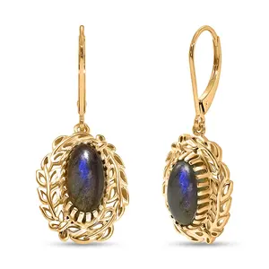 Labradorite 4.50 ctw Tropical Forest Earrings in 18K Yellow Gold Plated