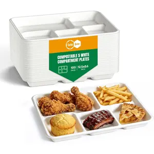 Turbo Bee Disposable 5 Compartment Plates, 100Pack Bagasse Divided Paper Trays, Heavy Duty Serving Plates for School Lunch, Meal Prep, Picnic and Buffet202