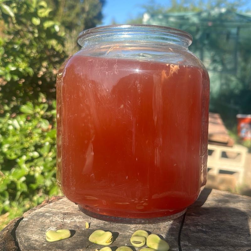 1 Gallon - Phototropic Bacteria for Enhanced Plant Growth