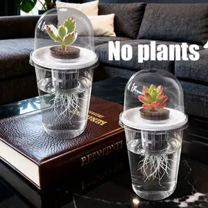 2 Pcs Hydroponic Plant Pots – Clear plastic growing cups with breathable hole design. High-transparency containers for easy root observation, ideal for water propagation, seeds and indoor plant growth.