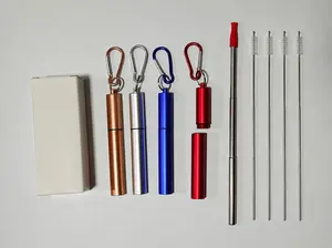 Cruise Ship Essentials,4-Pack reusable Collapsible Stainless Steel Drinking Straws with Aluminum Case,Cleaning Brush,and Keychains-Silver,Blue,Red,Green