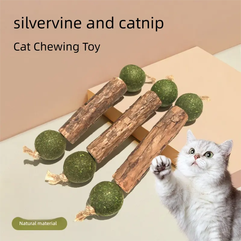my cat chewed on my aloe plant - TikTok Shop