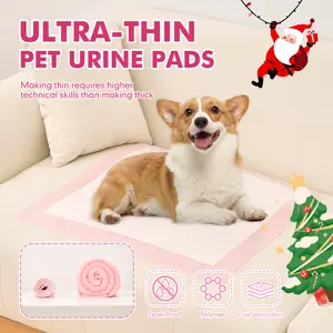 DCT Ultra-Absorbent Puppy Pads - 100 Count, 22" x 22", Quick-Dry, Leak-Proof & Super Absorbent, Unscented, 6-Layer Protection, Easy to Clean