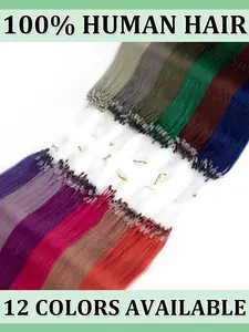 Colorful Micro Loop Human Hair Extension Straight 12inch/16inch/20inch Natural Loop Ring Hair 30g/pack Fancy Colors Real Hair Extensions