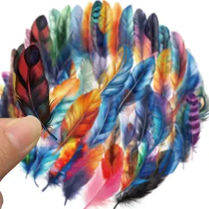 Feather Pattern Sticker, 50pcs/set Transparent Feather Sticker, Aesthetic Plume Decals for Laptop Journal Scrapbooking Arts Crafts Planner Stationery