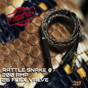 TITAN Rattlesnake 200 AMP TIG Rig 26 Flex Valve Torch Head