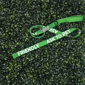 Friendly Ask to Pet Leash