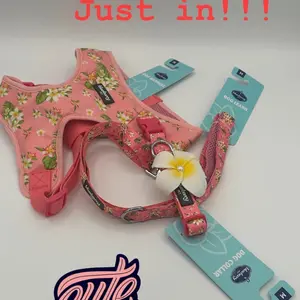 Small collar , harness , and leash set