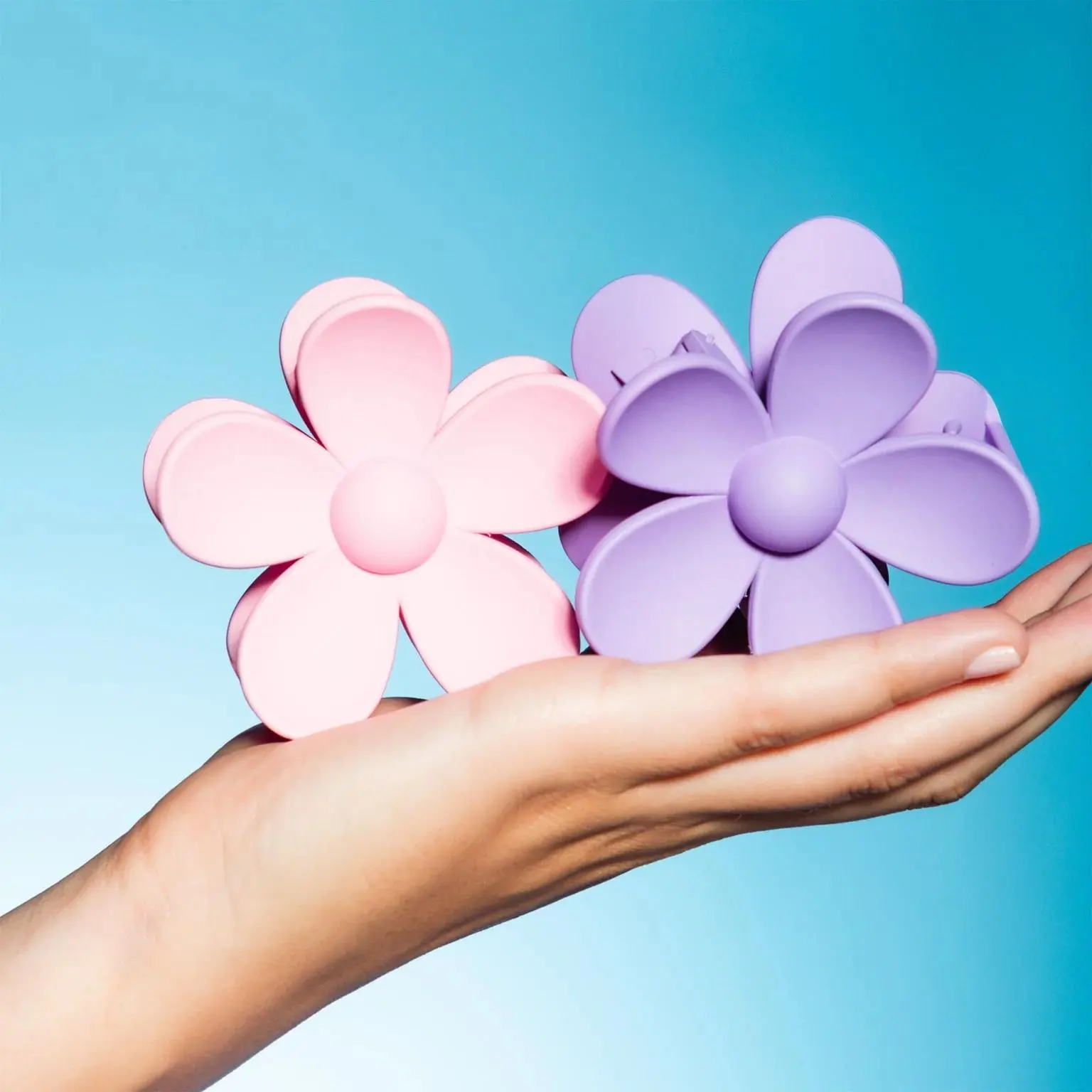 Daisy - Pink & Purple