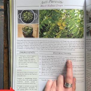 2026 Apothecary:250Powerful Reme-dies At Your Fingertips,800 Herbs You Need For Your Body Home DOctor Herbal Reme-dies Book for Everyday Wellness,portable