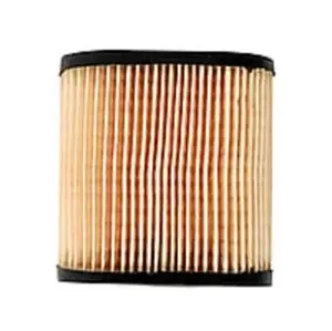 MTD Genuine OEM Air Filter TC-36905 (See Description For Compatible Models)