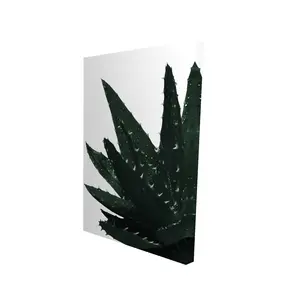 360 Stand Exotic Green Aloe Plant High Def Print - 24x36 in., Vibrant Nature-Infused Minimalist Photo Art, Bedroom Home Wall Decor, Decoration, Artistic, Outdoors