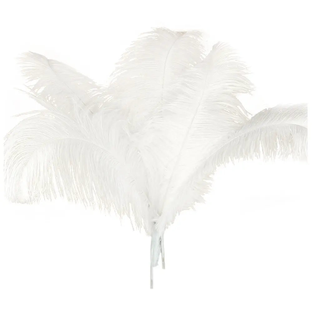 10 Pcs Lightweight No-Fading Natural Ostrich Feathers, 45-50cm White Decorative Ornaments for Motorcycle Frames & Fittings, Halloween, Hats, Shoes, Clothes, Masks