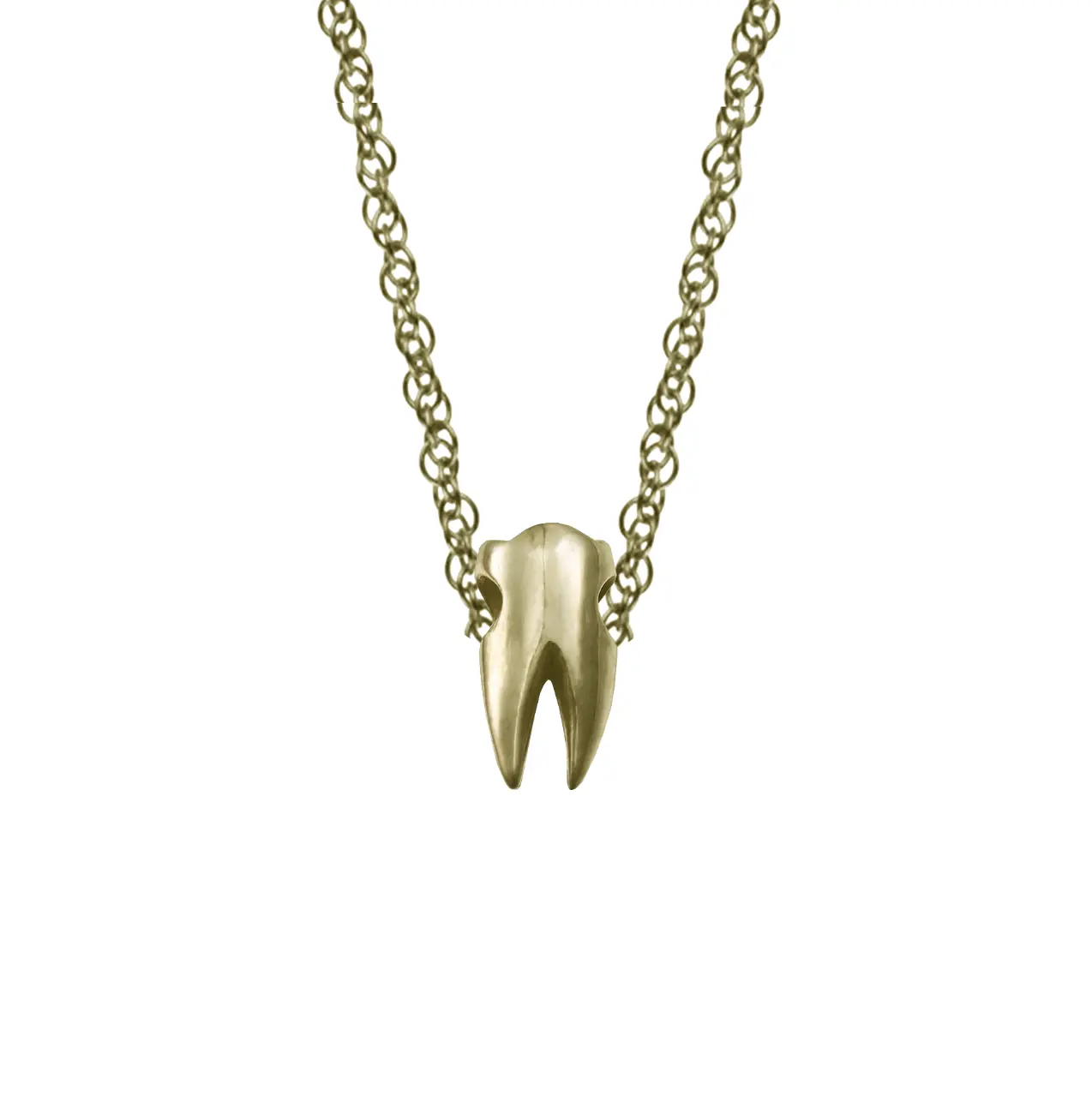 TINY BABY TOOTH NECKLACE