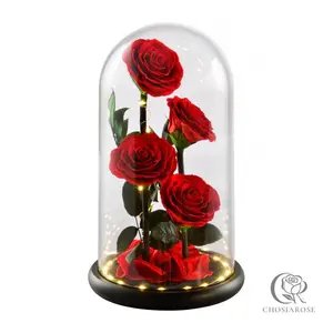 Luxury Preserved Rose Box (4 Real Roses) - Eternal Flowers for Years - Premium Birthday & Mother’s Day Gift for Her, Mom, Wife - Elegant Aesthetic Room Decor