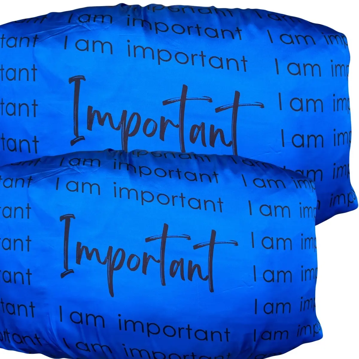 2pcs blue Affirmation satin silk pillowcase elastic back . Breathable