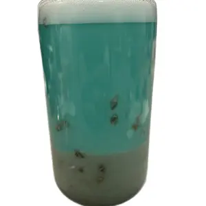 "Beach" Cup Snow Globe Tumbler with Sand and Shell Decorations in Teal Color Scheme