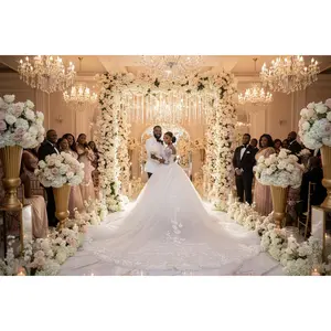 Pregnant Women, Princess, Plus Size Tail Wedding Dress