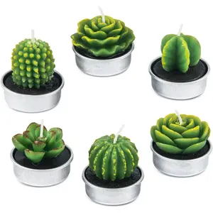 Handmade Delicate Succulent Cactus Candles for Birthday Party Wedding Spa Home Decoration 6 Packs
