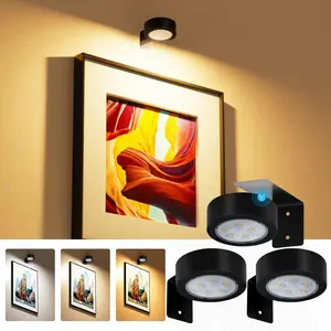 Wireless LED Dimmable Picture Light with Remote Control, Battery Powered Drawing Lamp, Timer Wall Color Changing Art Display, Adjustable Lighting