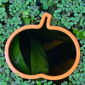Floating Pumpkin Shaped Feeding Ring for Fish Tanks - For Floating Plants and Decor - Fish Safe Material