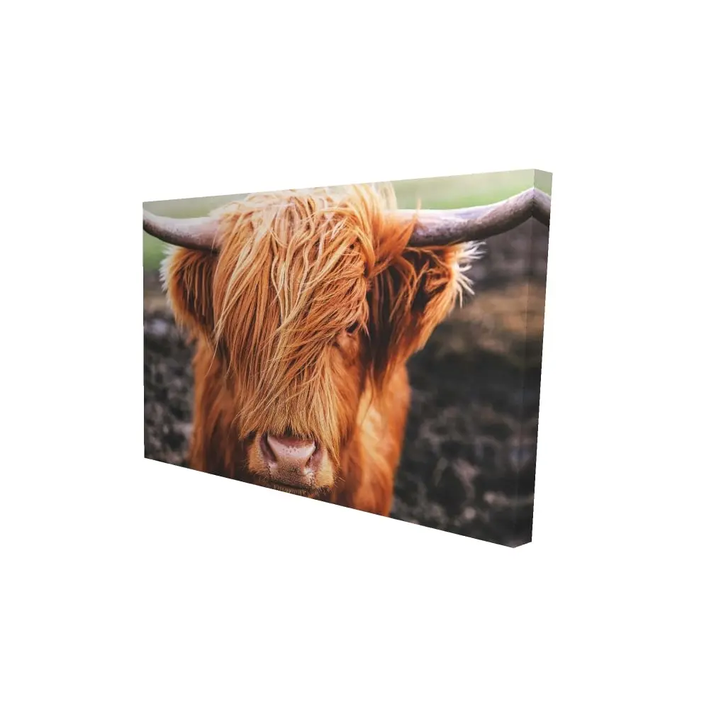 Artistic 24x36 in. Highland Cow Canvas Print with 360-Degree Rotatable Stand, Cow Motif Farm Animals Decorative Country Prints, Living Room Home Wall Decor Gift