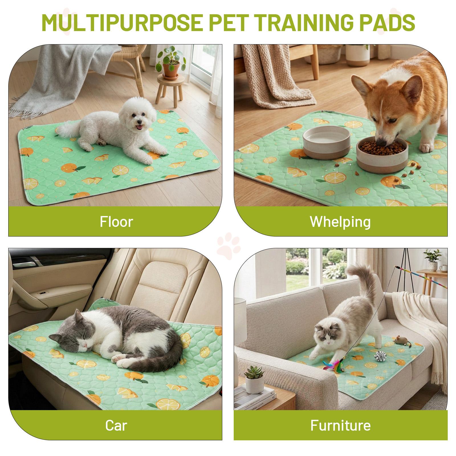 Washable Pee Pads for Dogs, 2-Pack Reusable Absorbent Training Pads for Puppies, Non-Slip Potty Pads, Playpen, Crate, Mattress, Multiple Sizes