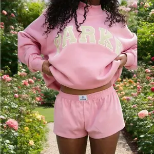 2026 new autumn and winter loose hooded sweatshirt PARKE letter embroidered sweatshirt