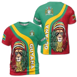 Custom Name Guyana Lion Flag Color Inspo Unisex T-Shirt S-5XL