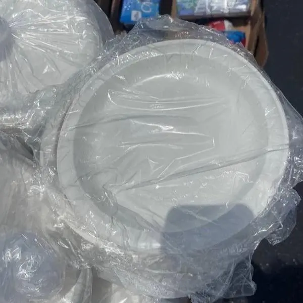 Dixie Paper Plates 100 Count - Perfect for Parties and Events - VDF Global Discounts