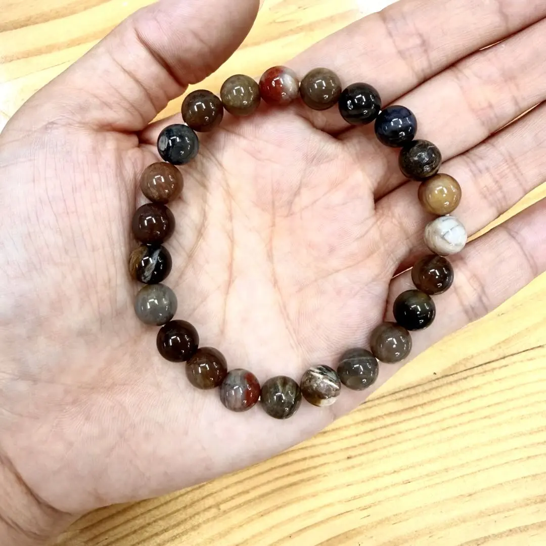 Julia(11137)gc.8mm petrified wood bracelet 16 pcs