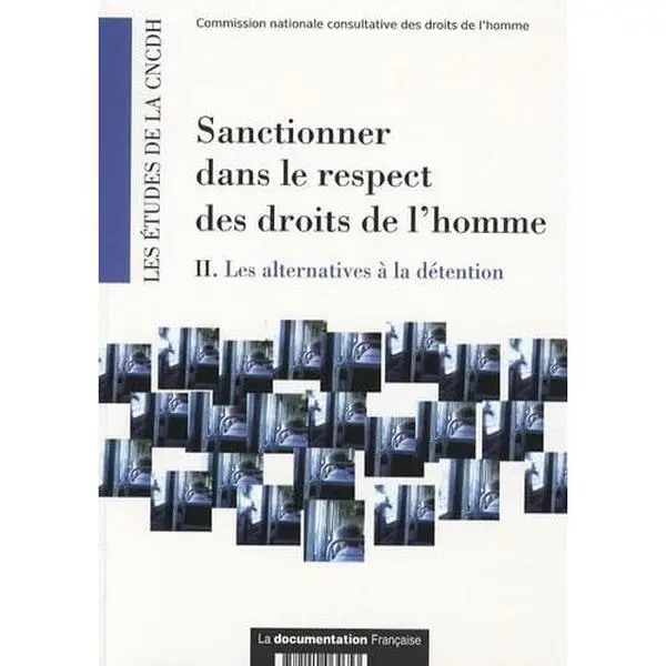 USED-sanctionner dans le respect des droits de l'homme t.2 ; les alternatives à la détention by Jean Bérard (Paperback)
