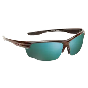Callaway Golf Men's Callaway Kite Sunglasses in Tortoise
