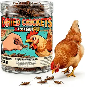 Dried Crickets - High Protein Insect Treat - Chickens, Wild Birds, Hedgehogs, Bluebirds, Reptiles, Sugar Gliders, Opossums, Skunks, Lizards, Bearded Dragons, Fish, Amphibians, Turtles (4 oz)
