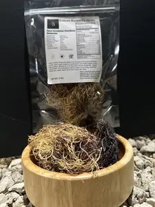 Natural Rare Honduras Gracilaria Seamoss Organic