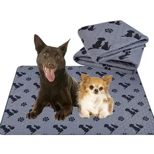 Strong Absorbent Pet Urine Pad, Waterproof Washable Non-Slip Cat Dog Training Pads, Universal Use, 1 Piece Pack, Ideal for Pets