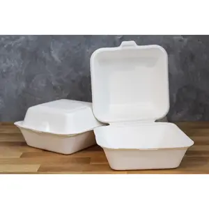 6" x 6" Tall Molded Fiber Clamshell (500pcs) | Compostable | PFAS-Free